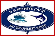 Balık Pazarı Çalış – 0534 555 73 37