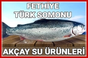 Fethiye Türk Somonu – Akçay Su Ürünleri