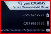 Muhasebeci – Meryem KOCABAŞ