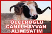 Ölçeroğlu Celep – Canlı Hayvan Alım Satım