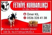 Fethiye Kurbanlıkçı Ömer KIL – Canlı Hayvan Besleme