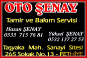 Oto Şenay – Özel Oto Servisi