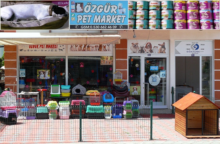 Ozgur Pet Market Evcil Hayvan Malzemeleri Fethiye Ve Seydikemer Rehberi