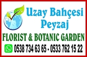 Uzay Bahçesi Peyzaj – Tasarım ve Uygulama