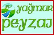 Yağmur Peyzaj – Tasarım Uygulama Danışmanlık